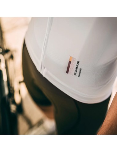 MAILLOT GOBIK MANGA CORTA STARK ROSEWOOD STREAK